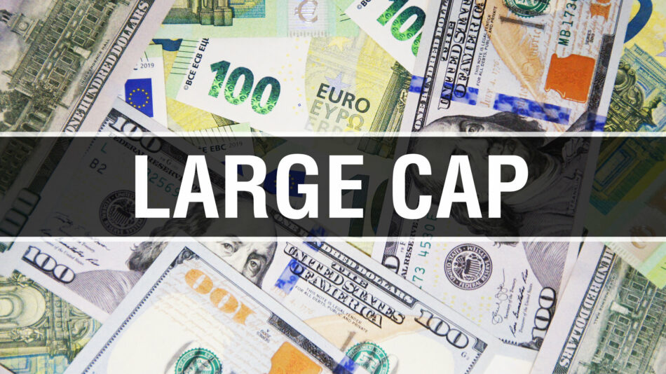 The benefits of investing in large-cap mutual funds